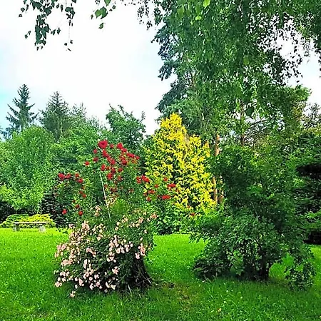Hotel Admiral Ricany (South Moravian)